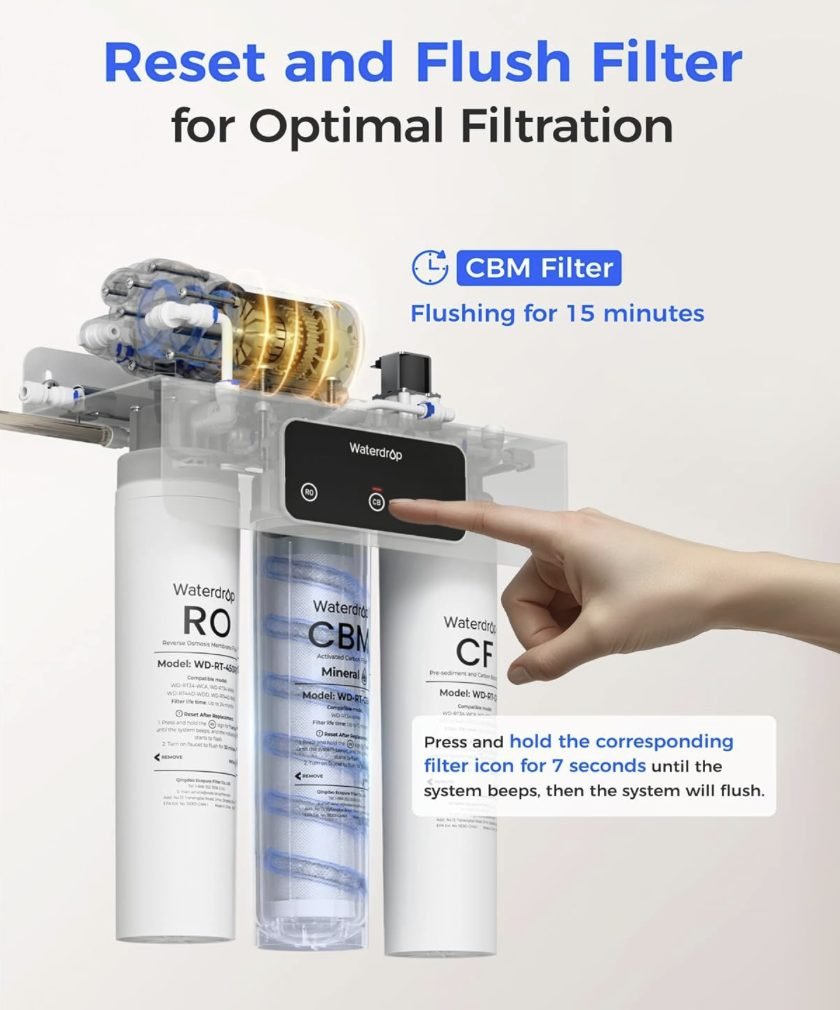 Reset and flush filter