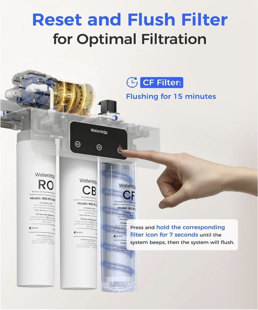 Reset and flush filter