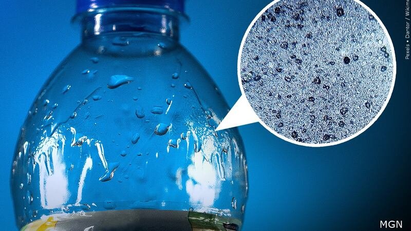 Microplastics in tap and bottled water
